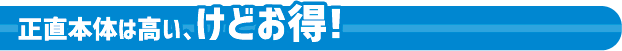 正直本体は高い、けどお得！