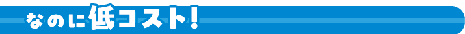 なのに低コスト！
